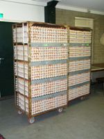 Kar met eieren