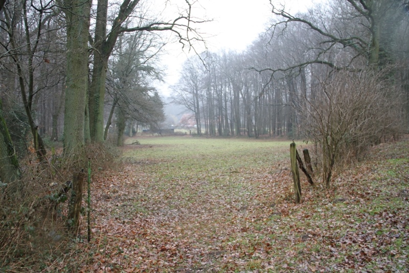 pinksterkampterrein