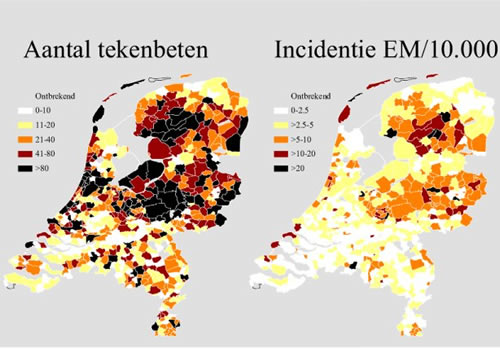 Kaart met aantal tekenbeten