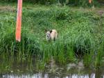 20220605-SandFotografie-IMG_7807