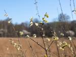 20250405-Sandfotografie-IMG_5389
