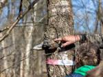 20250405-Sandfotografie-IMG_5392