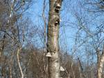 20250405-Sandfotografie-IMG_5393