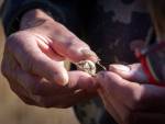 20250405-Sandfotografie-IMG_5394