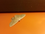 20150525_100750