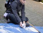 20231014-Sandfotografie-IMG_1211