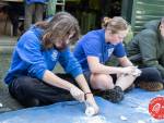 20231014-Sandfotografie-IMG_1227