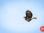 20231014-Sandfotografie-IMG_1249