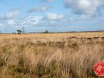 20231014-Sandfotografie-IMG_1250
