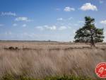 20231014-Sandfotografie-IMG_1251