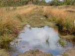 20231014-Sandfotografie-IMG_1267