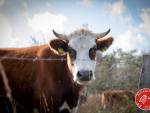20231014-Sandfotografie-IMG_1285