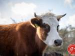 20231014-Sandfotografie-IMG_1286-bewerkt