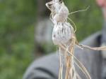 20220528-SandFotografie-IMG_7175