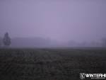 20241229-DSCF5035